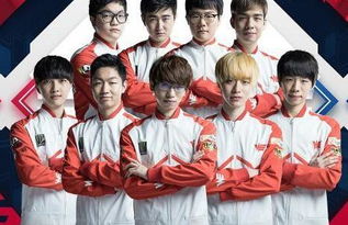 的关键所在 的关键所在